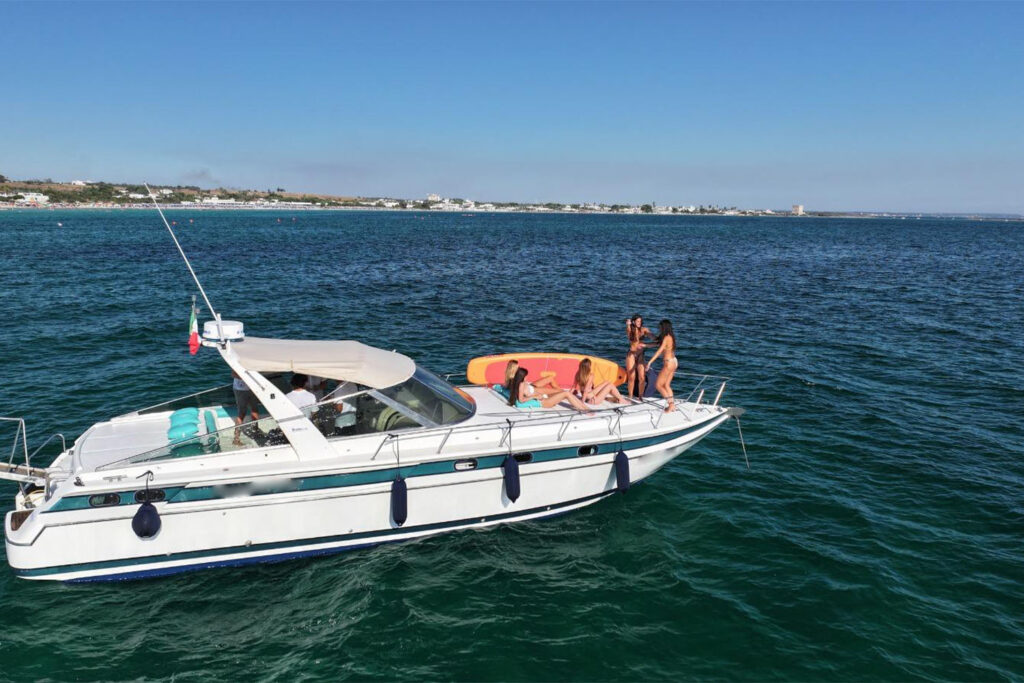 calypso corporation murena 730 (5).jpg_0001_Vista murata dx