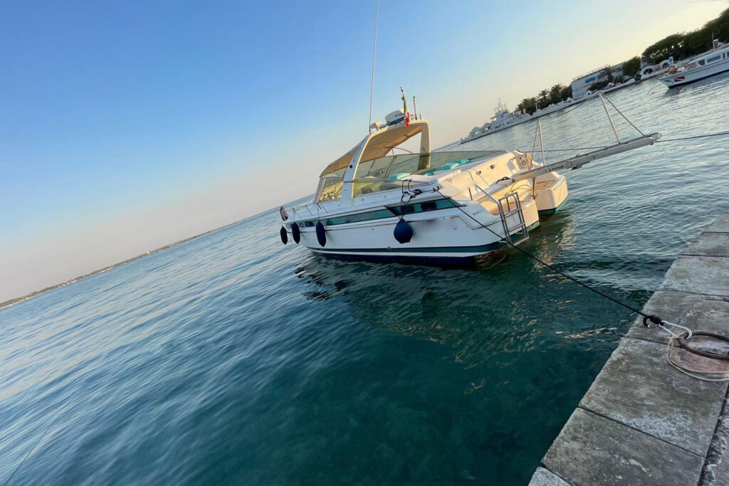 calypso corporation murena 730 (5).jpg_0002_Vista giardinetto sx